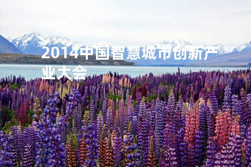 2014中国智慧城市创新产业大会
